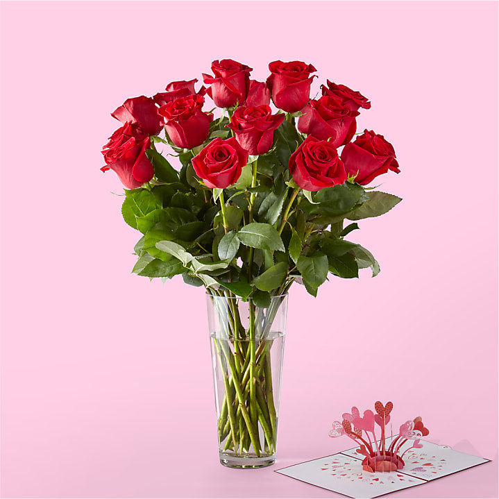 product image for Long Stem Red Rose Bouquet & Lovepop® Pop-Up Card