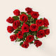 Long Stem Red Rose Bouquet