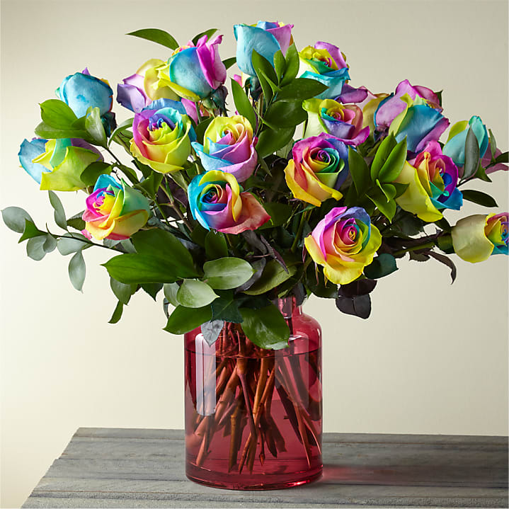 product image for Two Dozen Rainbow Rose Bouquet with Blush Vase