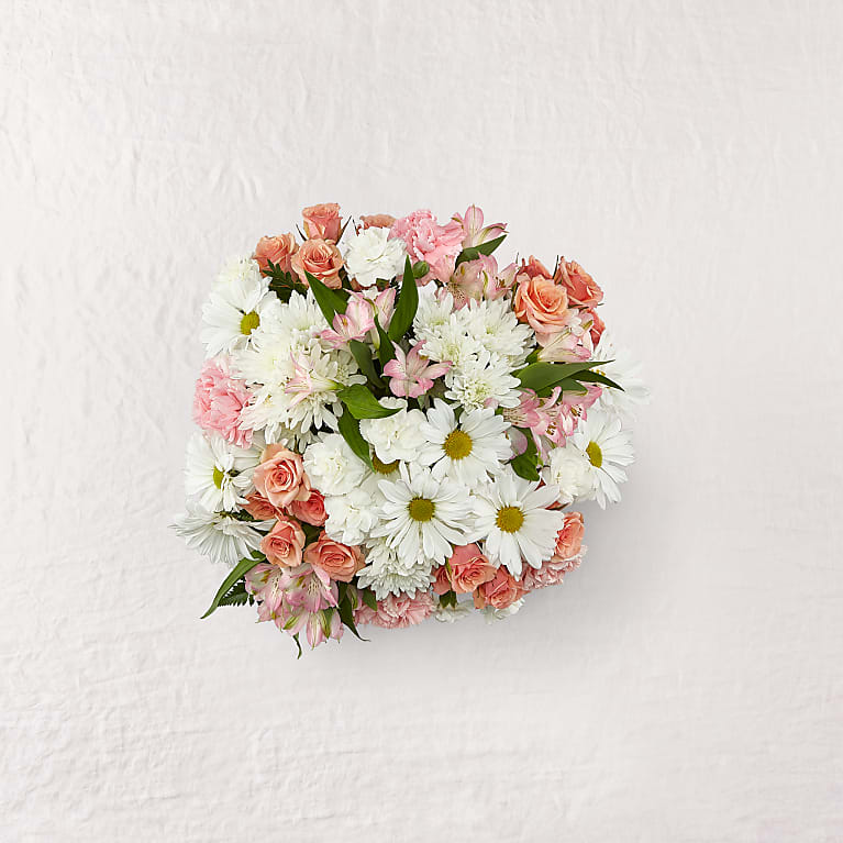 Flower Press - Daisy – Crush