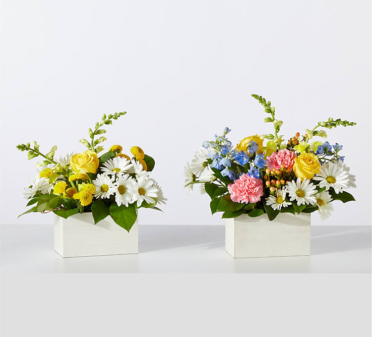 Sun Salutation Box Bouquet