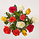 Mixed Roses - 12 Roses