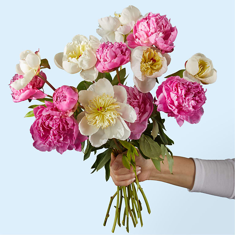 Fresh Peony Bouquet