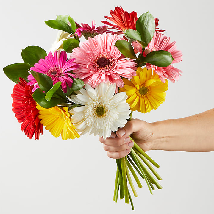 product image for Sunkissed Gerbera Bouquet