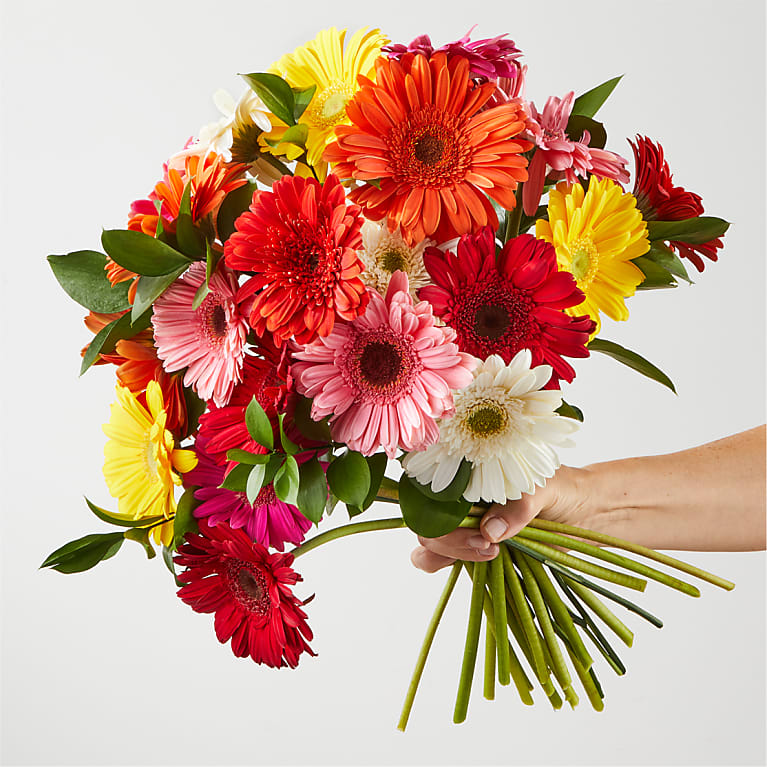 Sunkissed Gerbera Bouquet