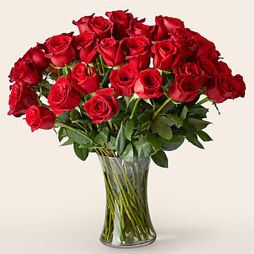 product image for Fifty Long Stem Red Roses with Vase