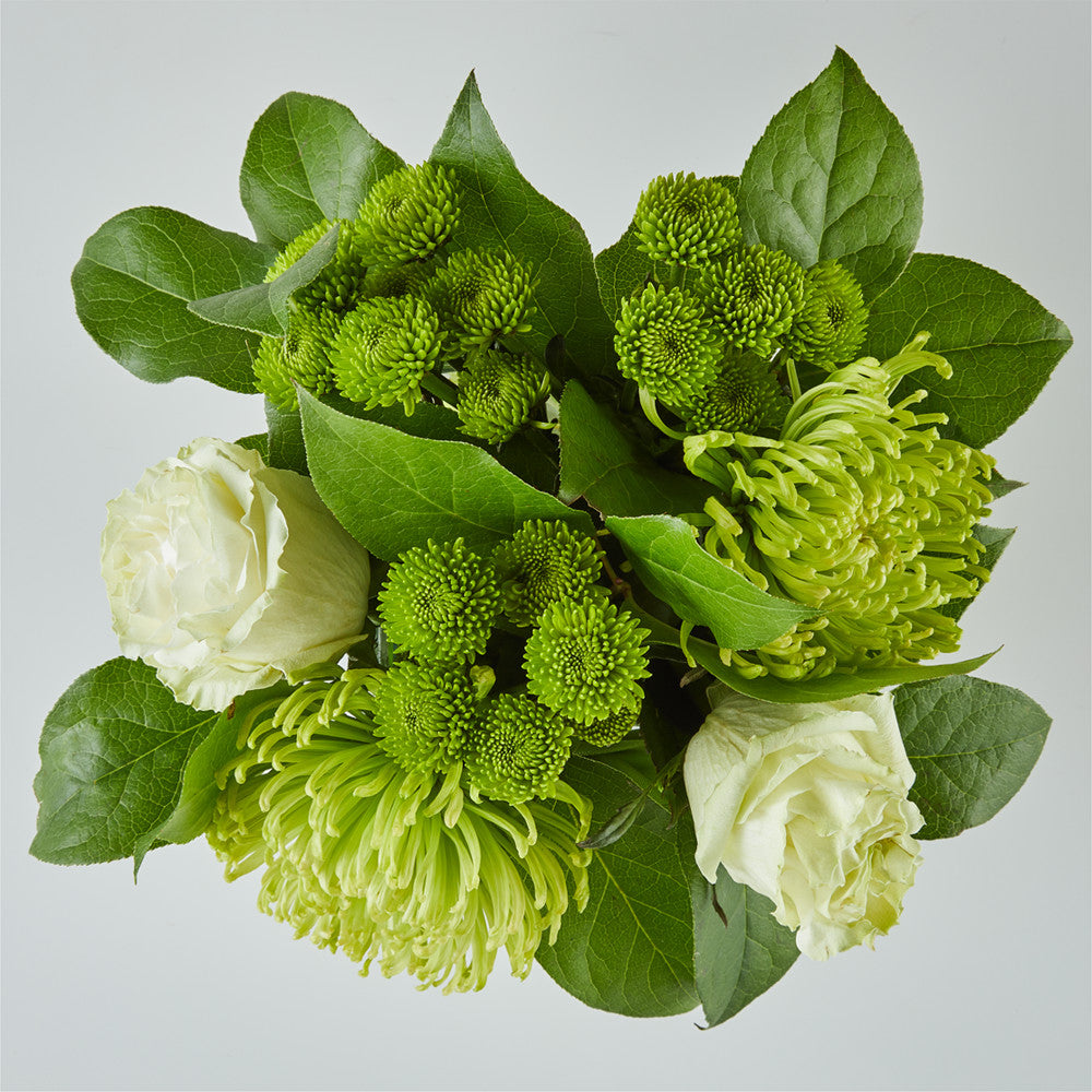 7 Best Bouquets to Give on St. Patrick's Day – Rosaholics