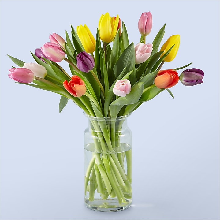 product image for Picnic Tulips