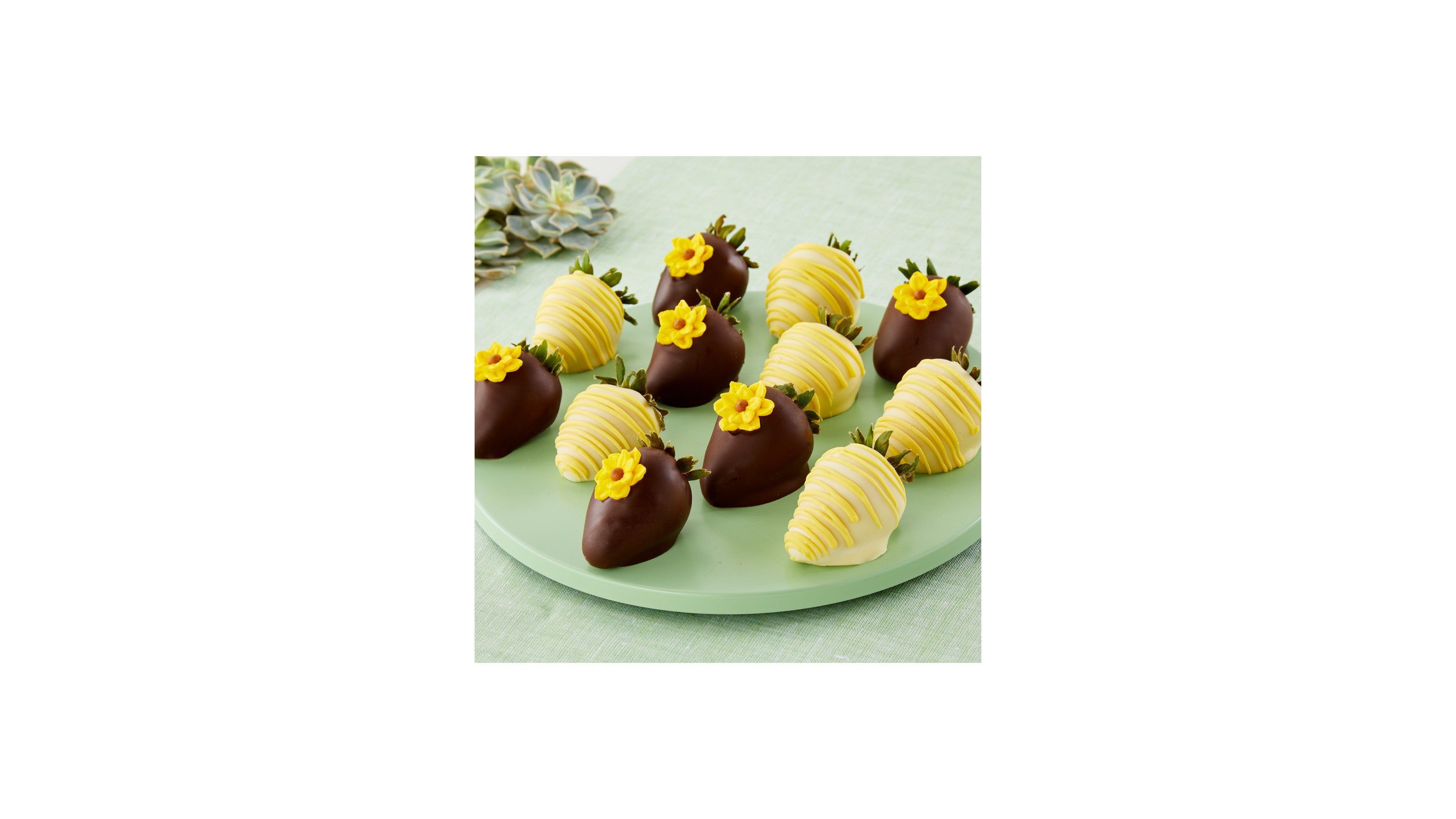 product image for Full Dozen Sunny Days Belgian Dark Chocolate-Covered Strawberries