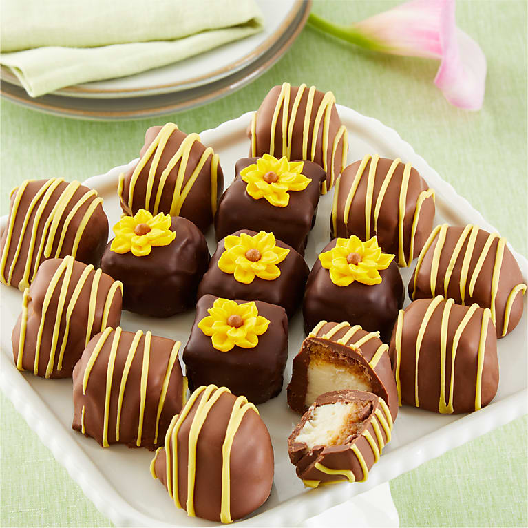 Sunny Days Belgian Chocolate-Covered Cheesecake Bites