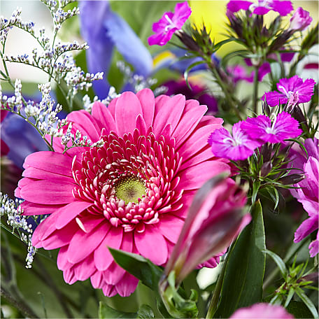 Regal Jewel – A Florist Original - Standard