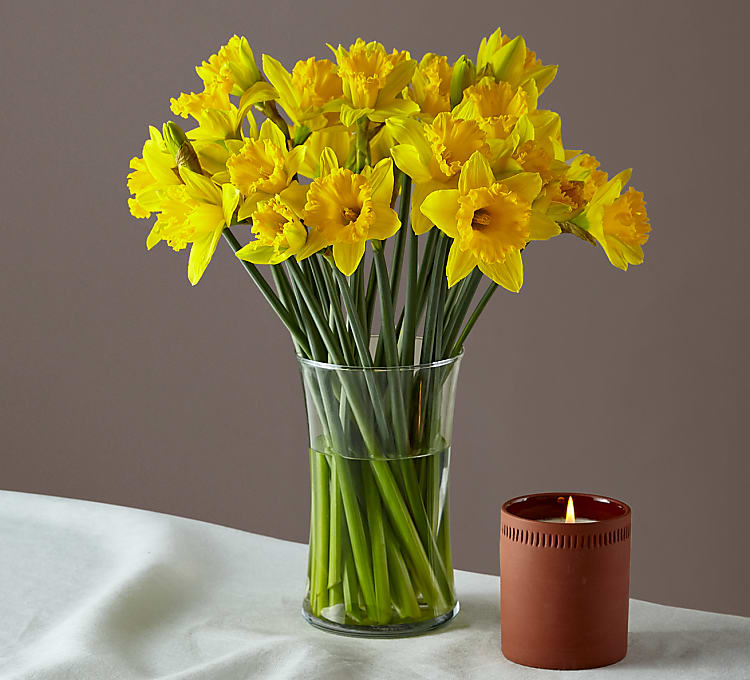 Yellow, Gorgeous Daffodil Bouquet