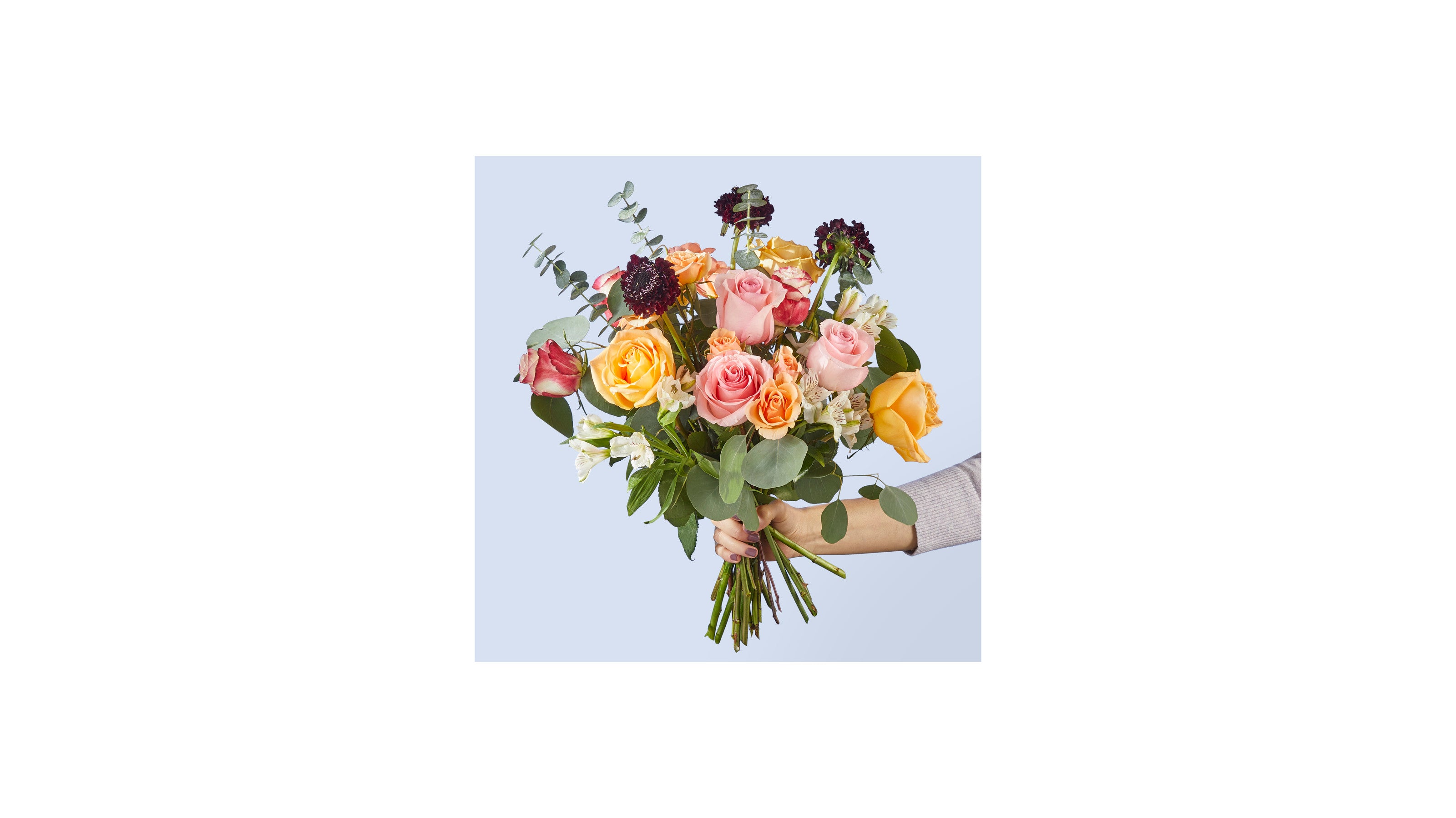 New Baby Flowers Online Chicago - Flower Delivery Service to Hospitals IL -  Online Florist 60611 60610 60657 60612 - Ashland Addison Florist