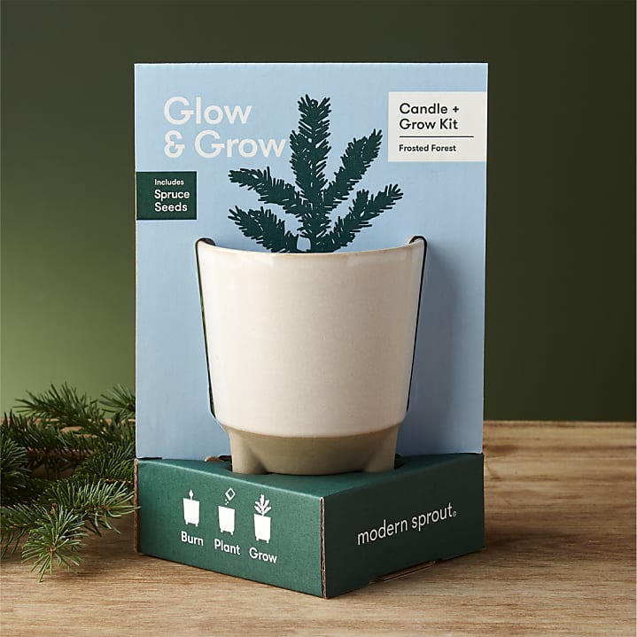 product image for Glow & Grow Frosted Forest Kit