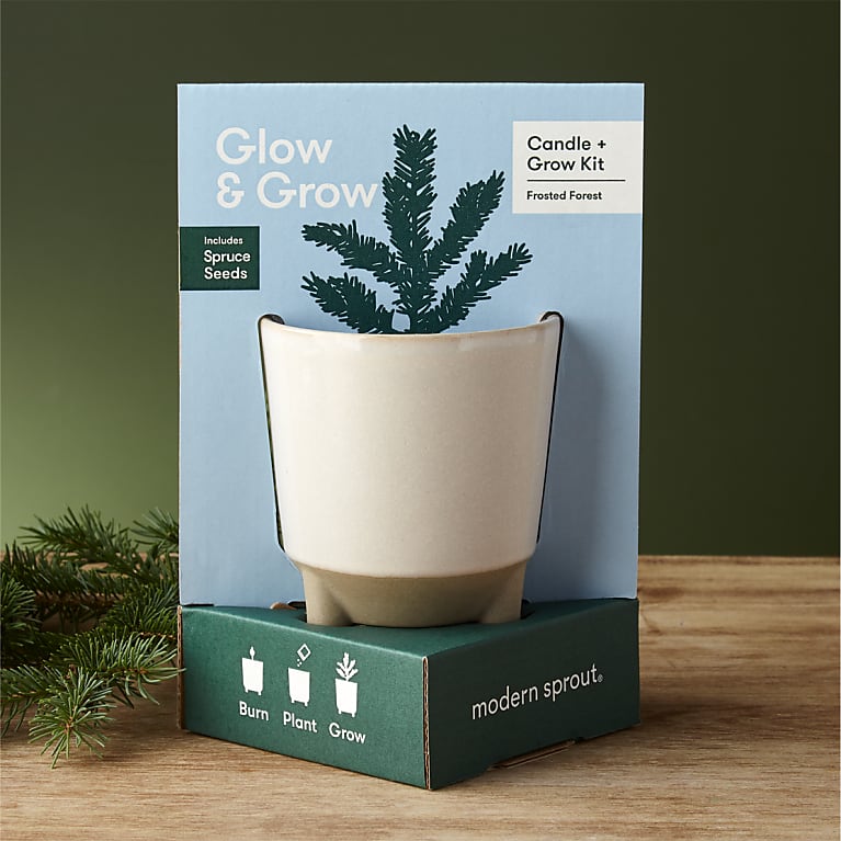 Glow & Grow Frosted Forest Kit