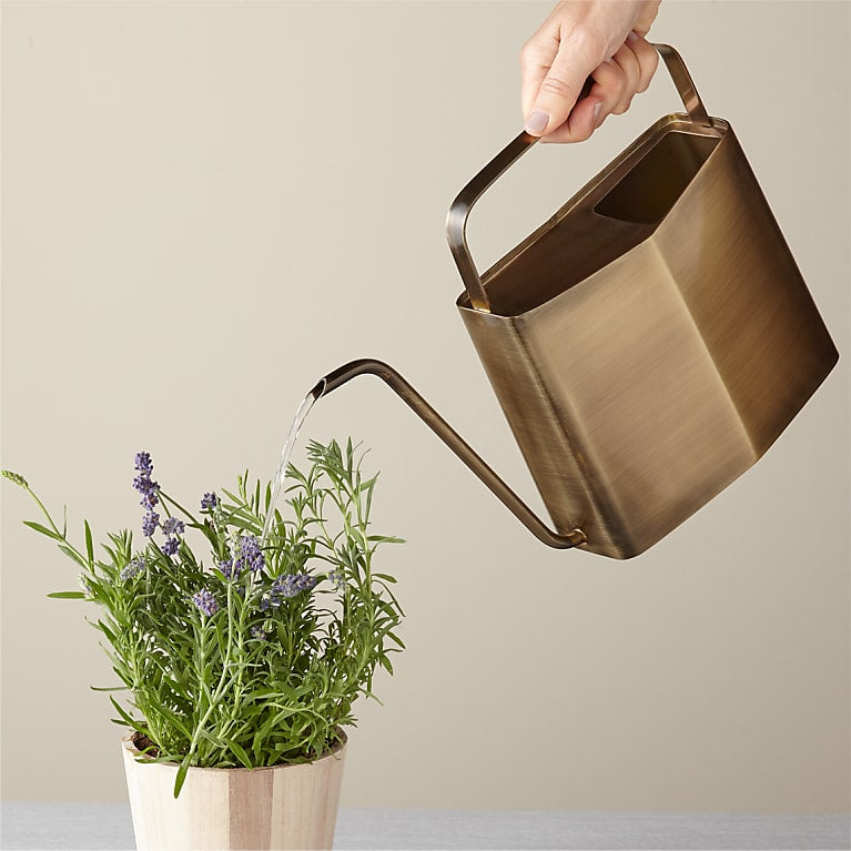 Brass Watering Can