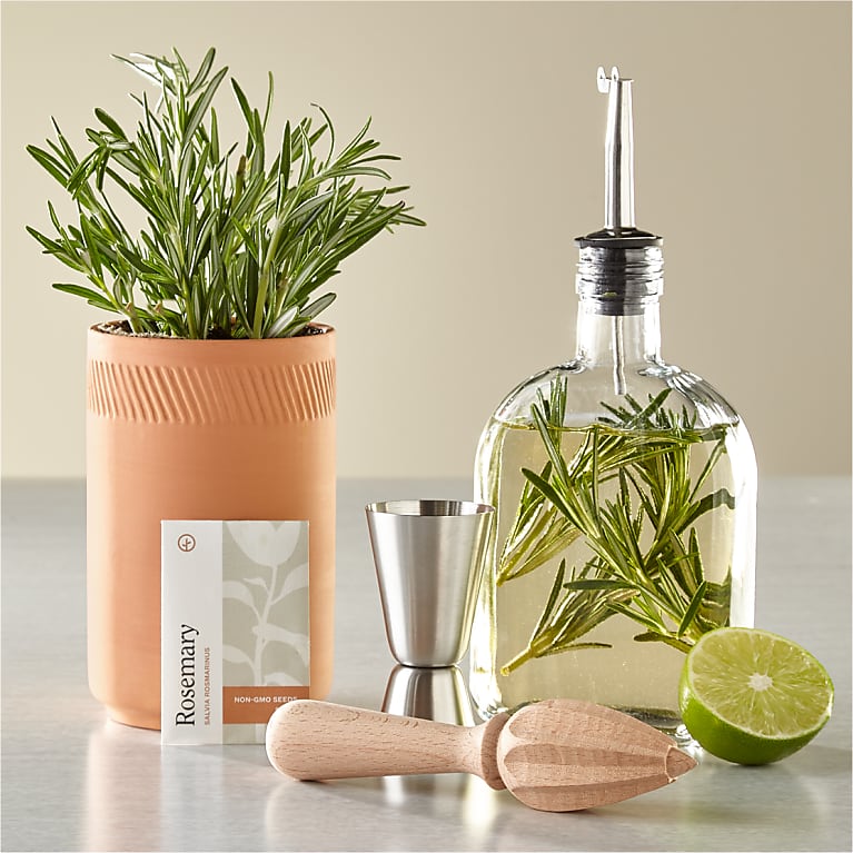 Cocktail Infusion Kit