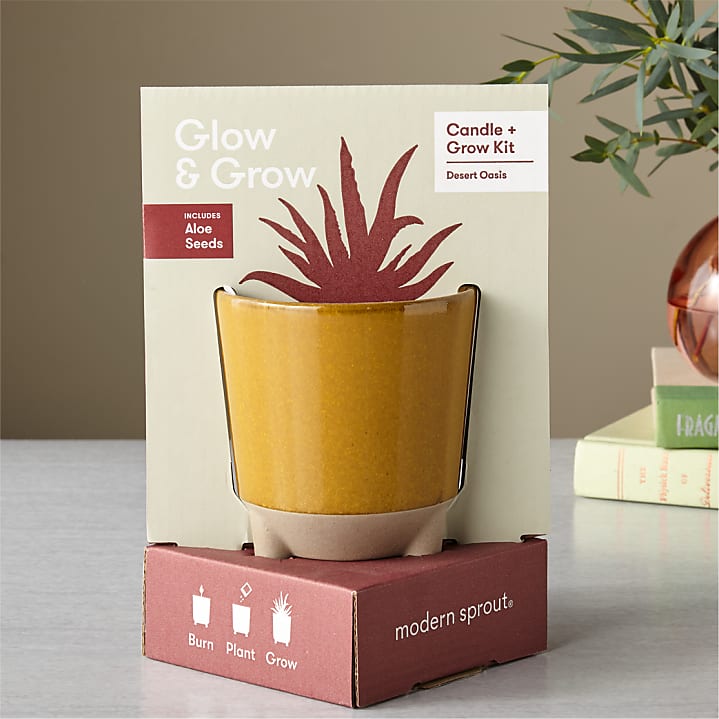 product image for Glow & Grow Desert