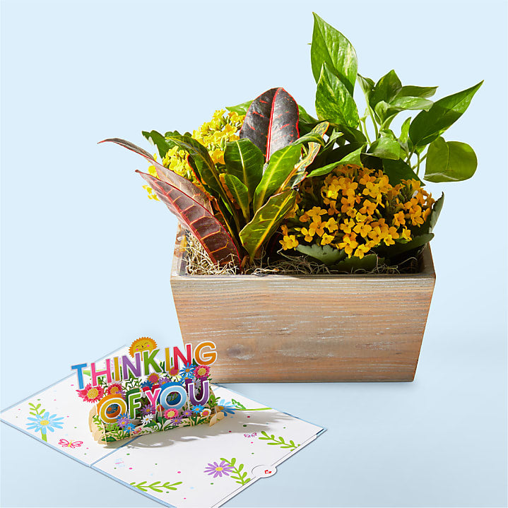 product image for Sunshine & Joy Garden and Thinking of you Lovepop® Pop-Up Card