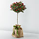 Dwarf Rose Topiary Plant