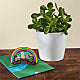 Jade Succulent & Rainbow Bridge Lovepop® Pop-Up Card