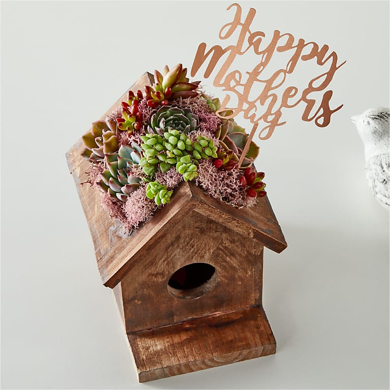 Succulent Birdhouse