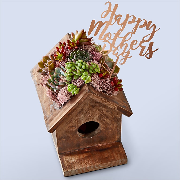 Succulent Birdhouse