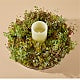 Living Succulent Wreath & Ivory Candle
