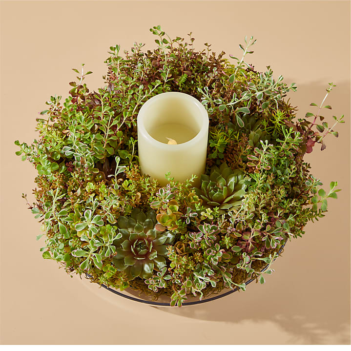 product image for Living Succulent Wreath & Ivory Candle