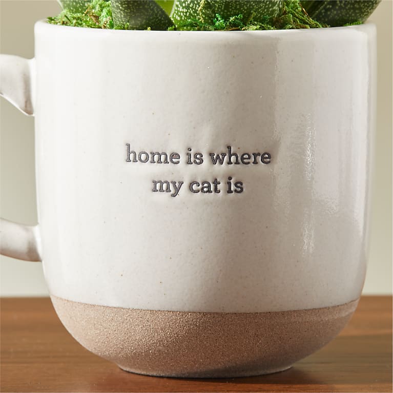 Haworthia Succulent in Cat Love Mug