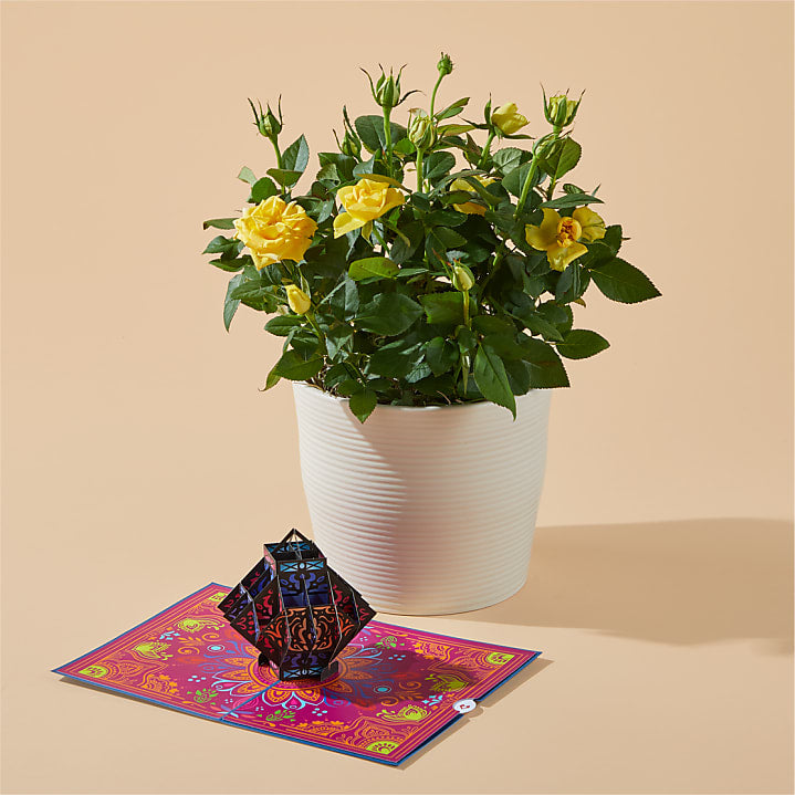 product image for Yellow Mini Rose & Diwali Lovepop® Pop-Up Card