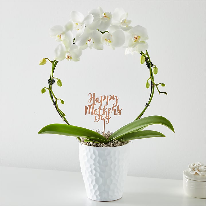 product image for White Hoop Orchid & Happy Mother's Day Pick