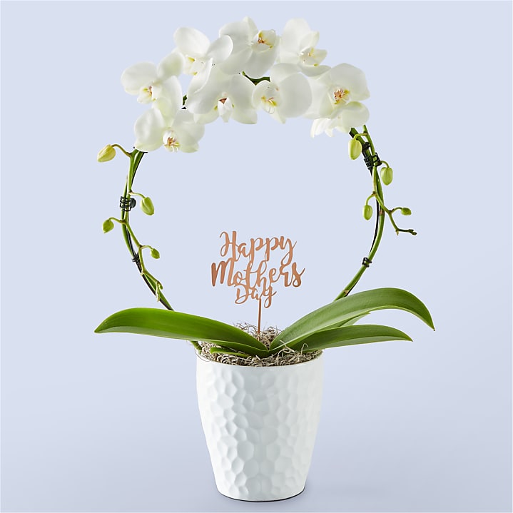 product image for White Hoop Orchid & Happy Mother's Day Pick