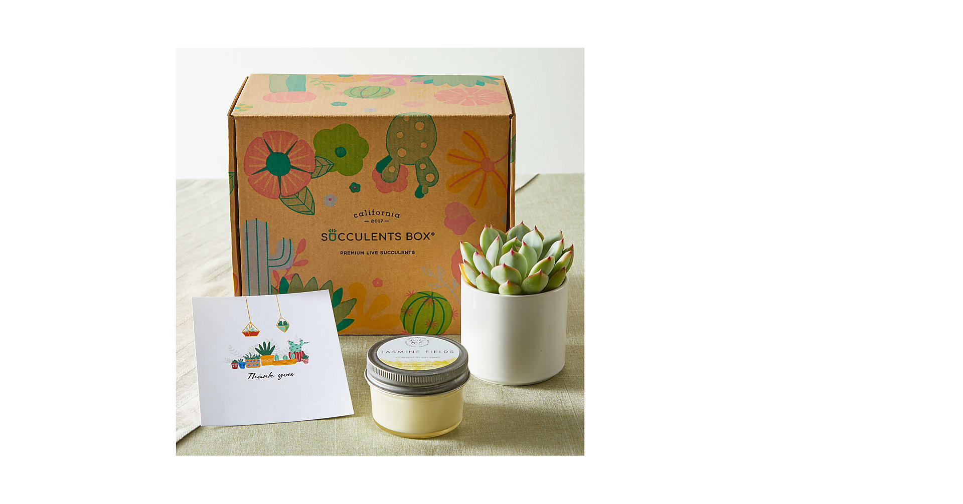 Thank You Succulent Gift Box