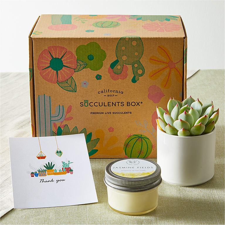 Qilery 100 Pcs Thank You Succulents Wraps, Kraft Paper Gift Wraps