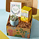 Warmest Wishes Succulent Gift Box