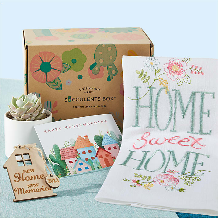 product image for Housewarming Succulent Gift Box