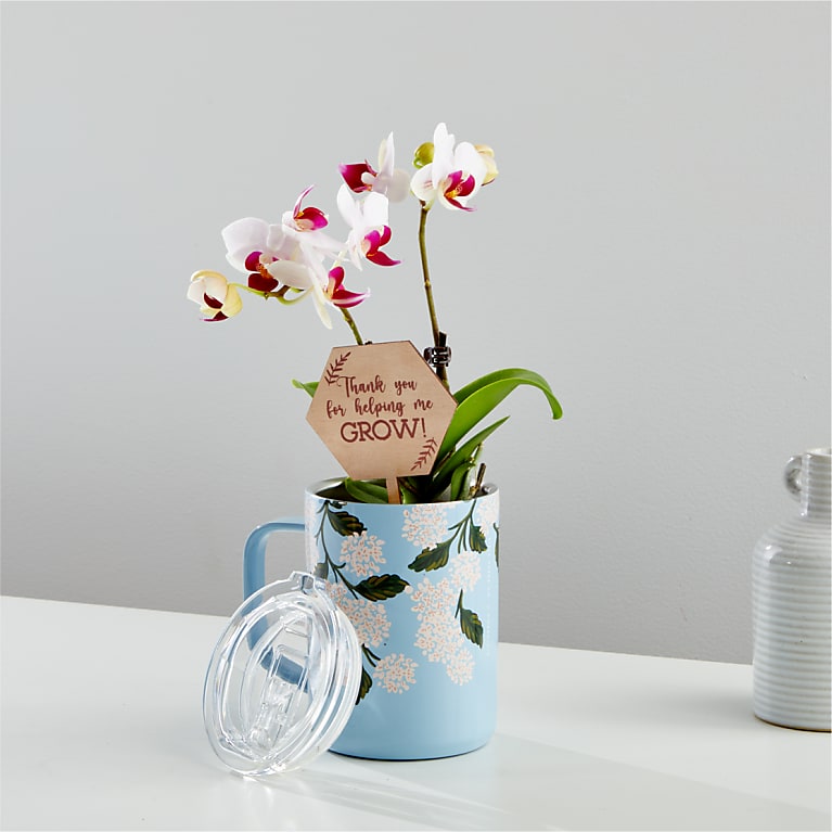 Thank You Orchid in Corkcicle® Mug