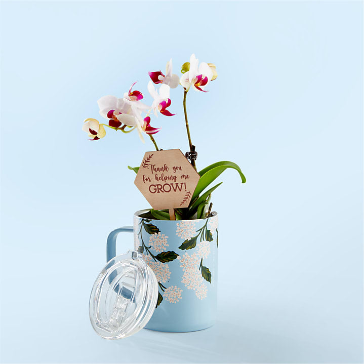product image for Thank You Orchid in Corkcicle® Mug