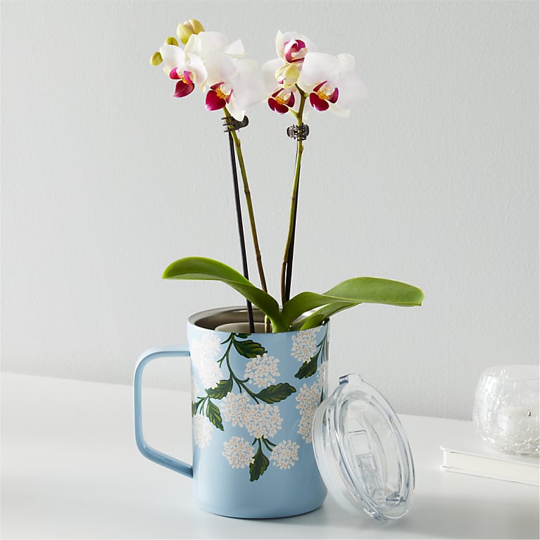 White Orchid in Corkcicle® Mug