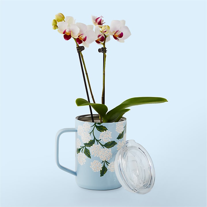 product image for White Orchid in Corkcicle® Mug