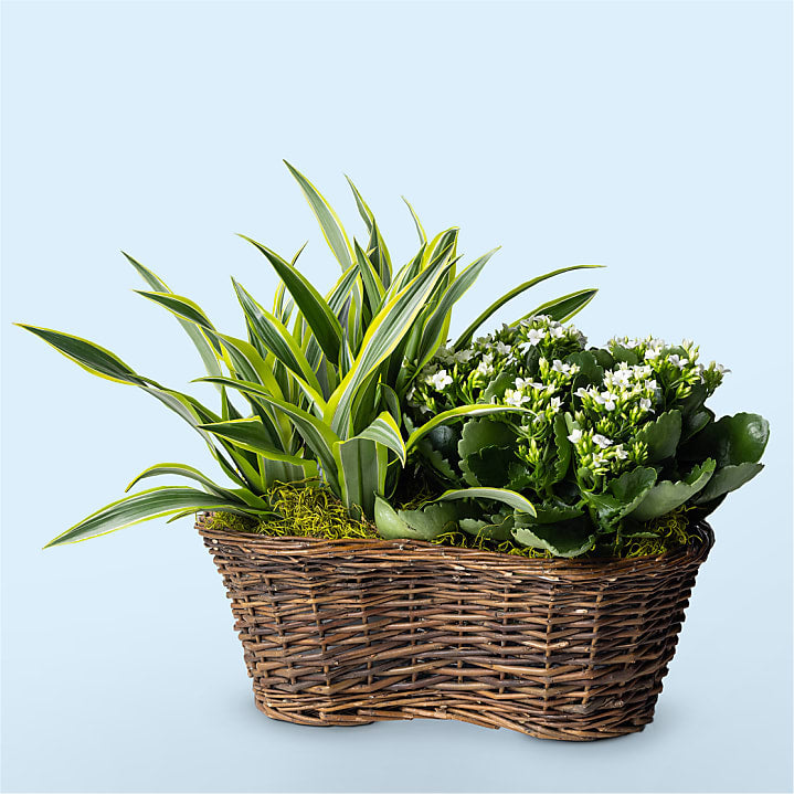 product image for Blooming Garden
