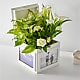 White Garden Keepsake Box