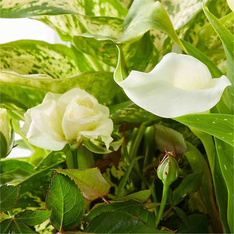 White Garden Keepsake Box