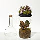 Wine Bottle Terrarium