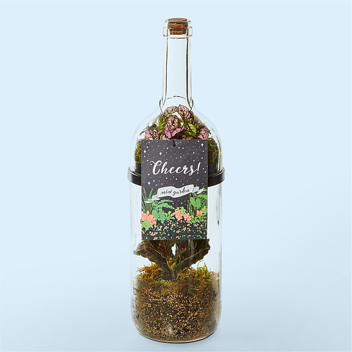 product image for Wine Bottle Terrarium