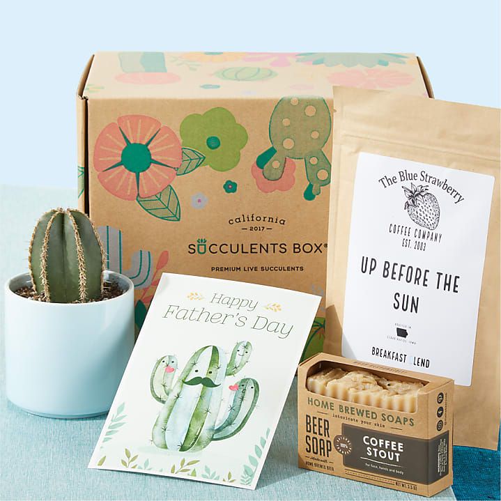 product image for Happy Father's Day Succulent Gift Box