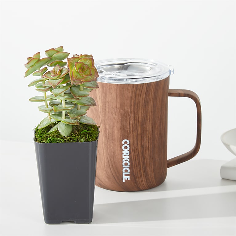 Succulent in Corkcicle® Mug