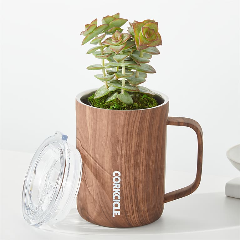 Succulent in Corkcicle® Mug