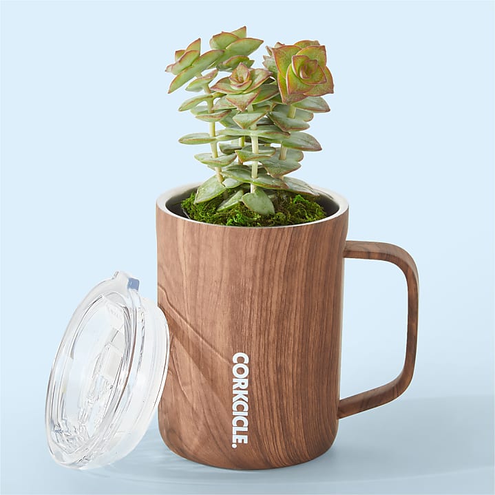 product image for Succulent in Corkcicle® Mug